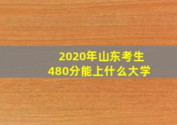 2020年山东考生480分能上什么大学