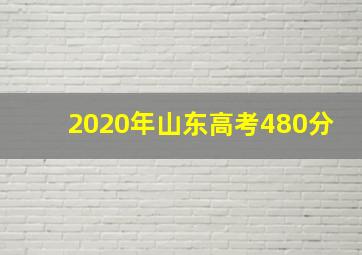 2020年山东高考480分