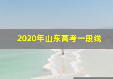 2020年山东高考一段线