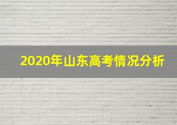 2020年山东高考情况分析