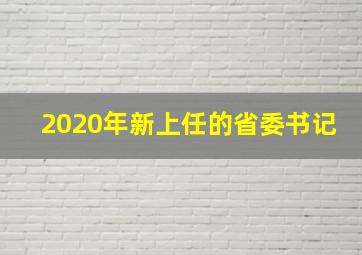 2020年新上任的省委书记