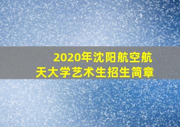 2020年沈阳航空航天大学艺术生招生简章