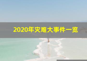 2020年灾难大事件一览