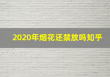 2020年烟花还禁放吗知乎