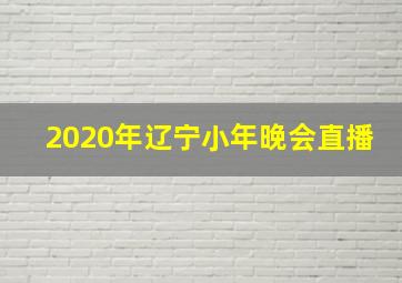 2020年辽宁小年晚会直播