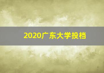 2020广东大学投档