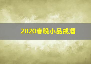 2020春晚小品戒酒