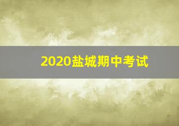 2020盐城期中考试