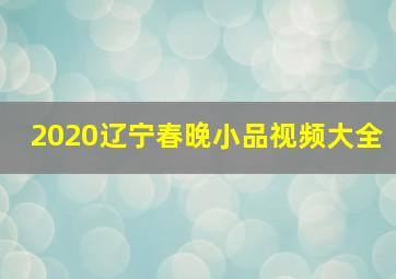 2020辽宁春晚小品视频大全