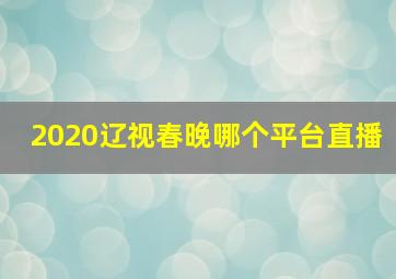 2020辽视春晚哪个平台直播