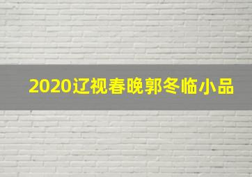 2020辽视春晚郭冬临小品