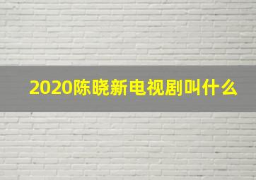 2020陈晓新电视剧叫什么