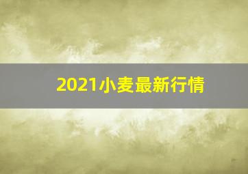 2021小麦最新行情