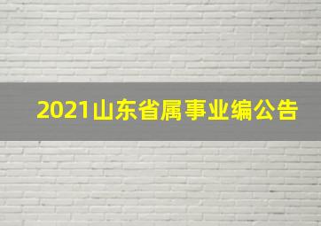 2021山东省属事业编公告