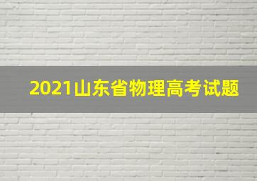 2021山东省物理高考试题