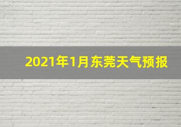 2021年1月东莞天气预报