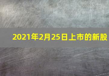 2021年2月25日上市的新股