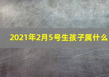 2021年2月5号生孩子属什么