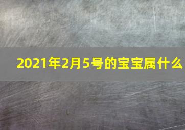 2021年2月5号的宝宝属什么