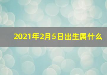 2021年2月5日出生属什么