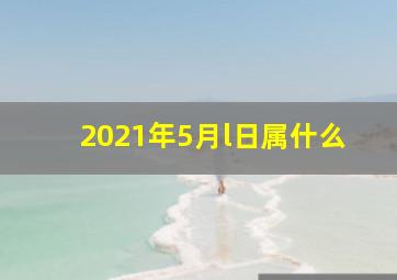 2021年5月l日属什么