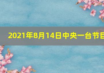 2021年8月14日中央一台节目