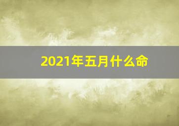 2021年五月什么命