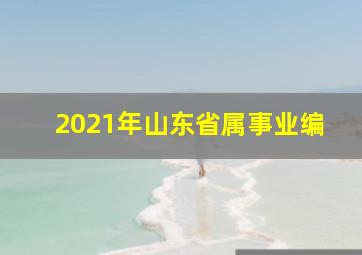 2021年山东省属事业编