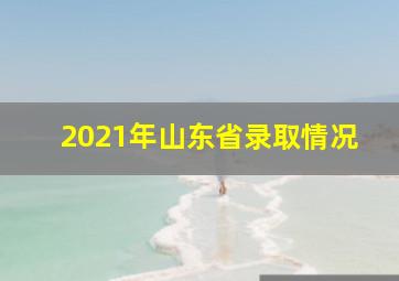 2021年山东省录取情况