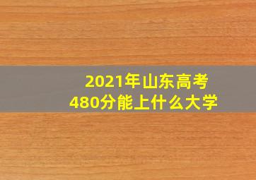 2021年山东高考480分能上什么大学