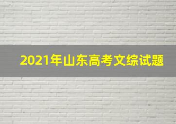 2021年山东高考文综试题