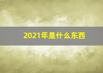 2021年是什么东西