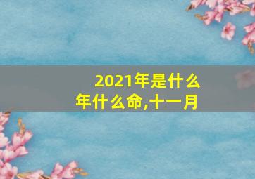 2021年是什么年什么命,十一月