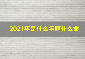 2021年是什么年啊什么命