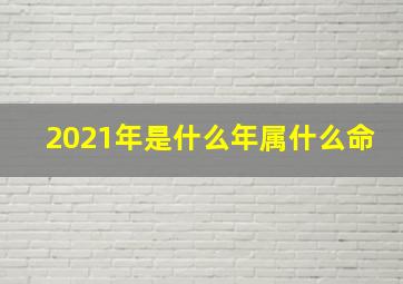 2021年是什么年属什么命