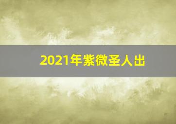 2021年紫微圣人出