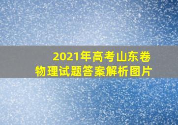 2021年高考山东卷物理试题答案解析图片