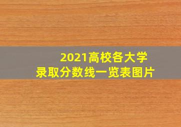 2021高校各大学录取分数线一览表图片