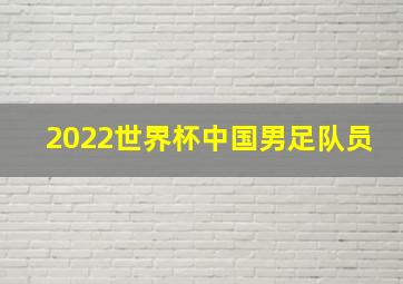 2022世界杯中国男足队员