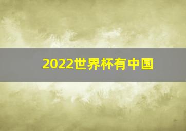 2022世界杯有中国