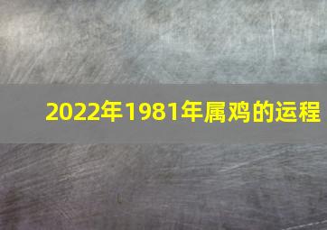 2022年1981年属鸡的运程