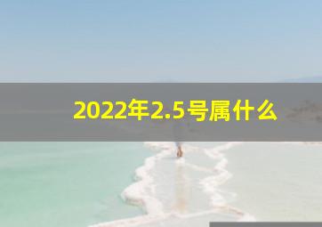 2022年2.5号属什么