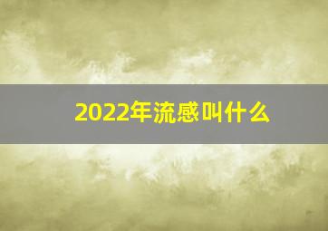 2022年流感叫什么