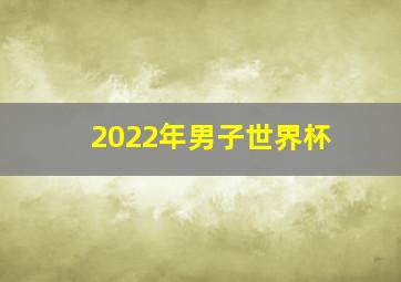 2022年男子世界杯