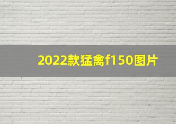 2022款猛禽f150图片