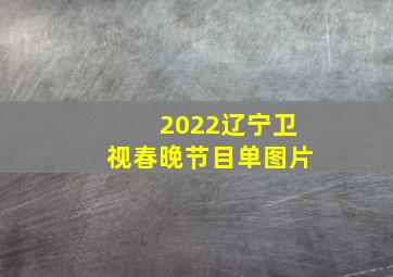 2022辽宁卫视春晚节目单图片