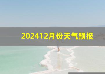 202412月份天气预报