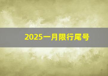 2025一月限行尾号