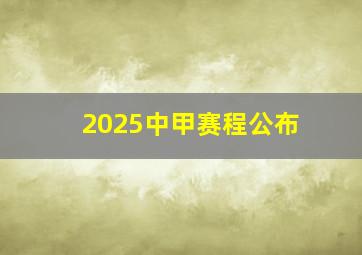 2025中甲赛程公布