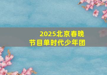 2025北京春晚节目单时代少年团